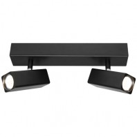 Cougar-Artemis 2 x 5W 2lt Rail Spotlight - Black & White